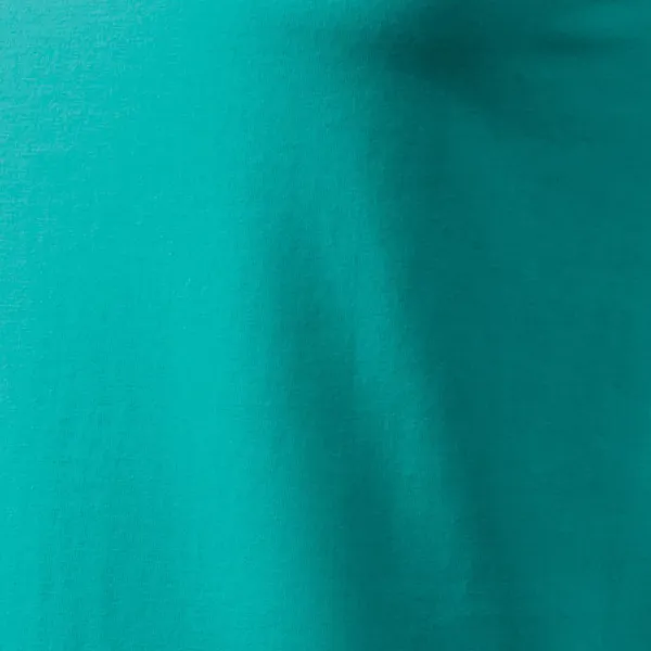 Pánske tričko jednoduché - 100% bavlna pre maximálne pohodlie