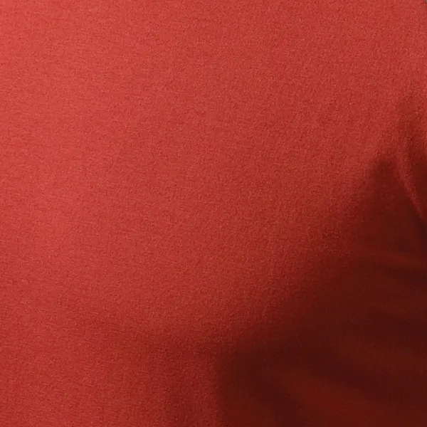 Pánske tričko s dlhým rukávom, kontrastné - 100% bavlna pre maximálne pohodlie